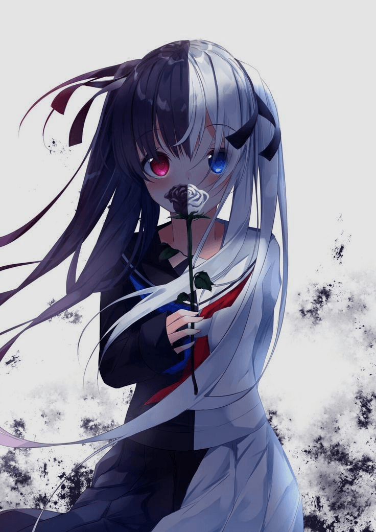 avatar dn story