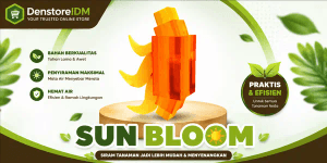 Sun Bloom