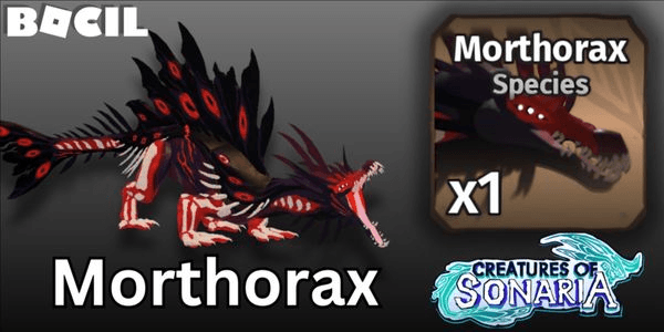 Gambar Product Morthorax