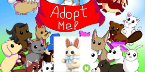 White Choccybunny N