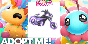Shadow Rider