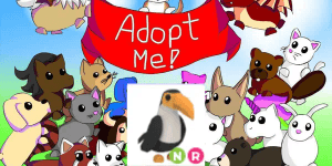 Toucan NR