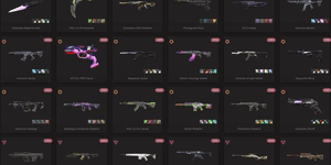 AP / BUNDLE SINGULARITY / KURONAMI VANDAL / CHAMPIONS 2024 PHANTOM / PHASEGUARD GHOST / VCT25 X PRX CLASSIC / RGX 11Z PRO KARAMBIT #SDV92