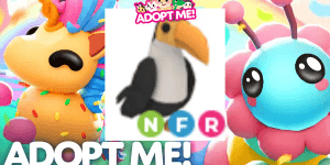 Toucan NFR