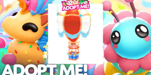 Hot Air Balloon