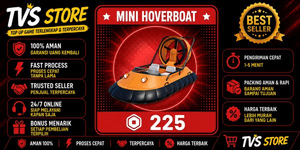 Mini Hoverboat