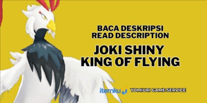 Serviço Shiny King Of Flying | Leia a Descrição