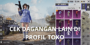 PUBG ACCOUNT LEVEL 30 BARE