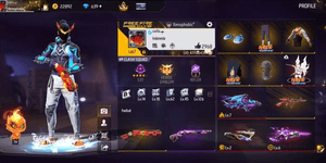 Cheap FF account according to picture + description