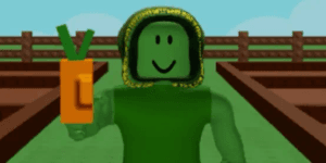 Carrot