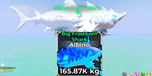 Albino Big Frostborn Shark