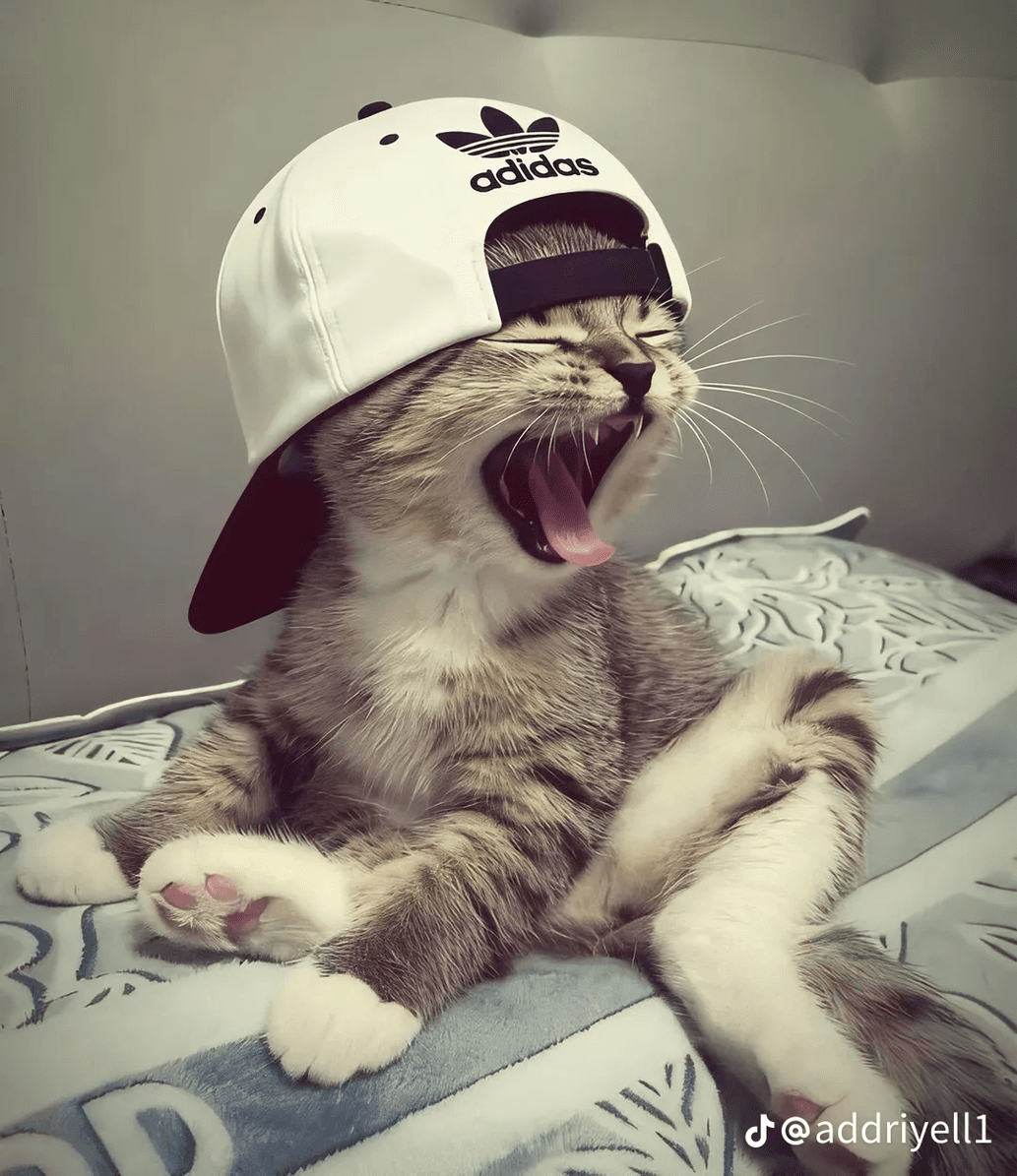 avatar Elwin zx