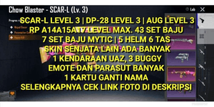 PUBG LEVEL 30 CHEAPEST