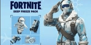 Fortnite: Deep Freeze Bundle + 100 V-Bucks Epic Games | 109 Skins