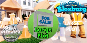 Large Plot