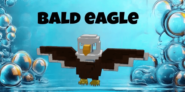 Bald Eagle