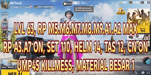 MANY SET PUBG MOBILE ACCOUNTS