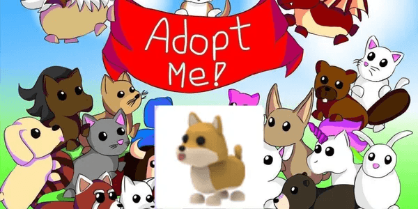 Shiba Inu