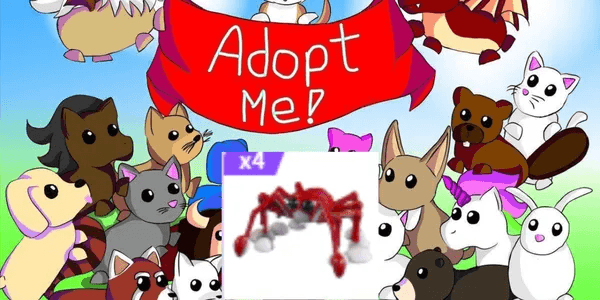 Spider Crab