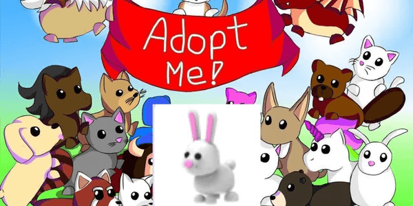 Bunny