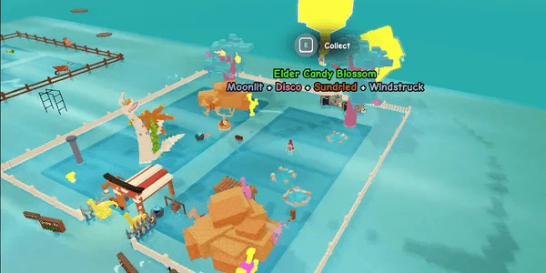 Account Candy Blossom (Vietnam Country) Can't Play On Mobile Phone!!!
