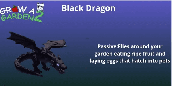 Black Dragon