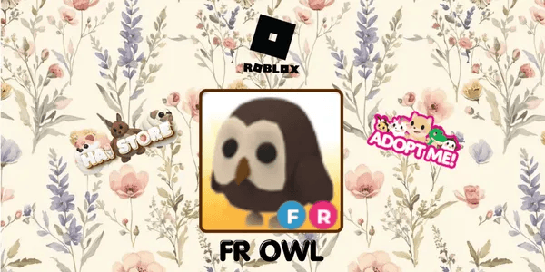 Owl FR