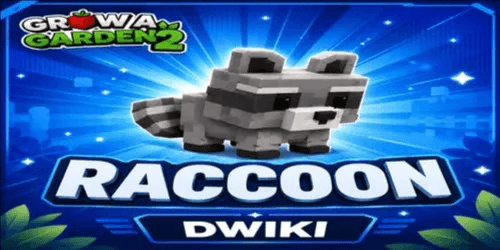 Raccoon