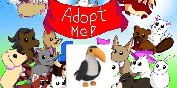 Toucan