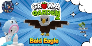 Bald Eagle