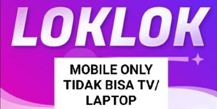 LOKLOK BASIC 1 MONTH