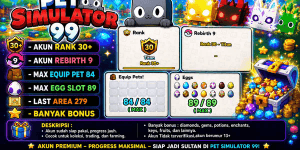 Account Rank 30+ - Max Equip & Max Egg Slot (MORE IN DESCRIPTION) - Pet Simulator 99
