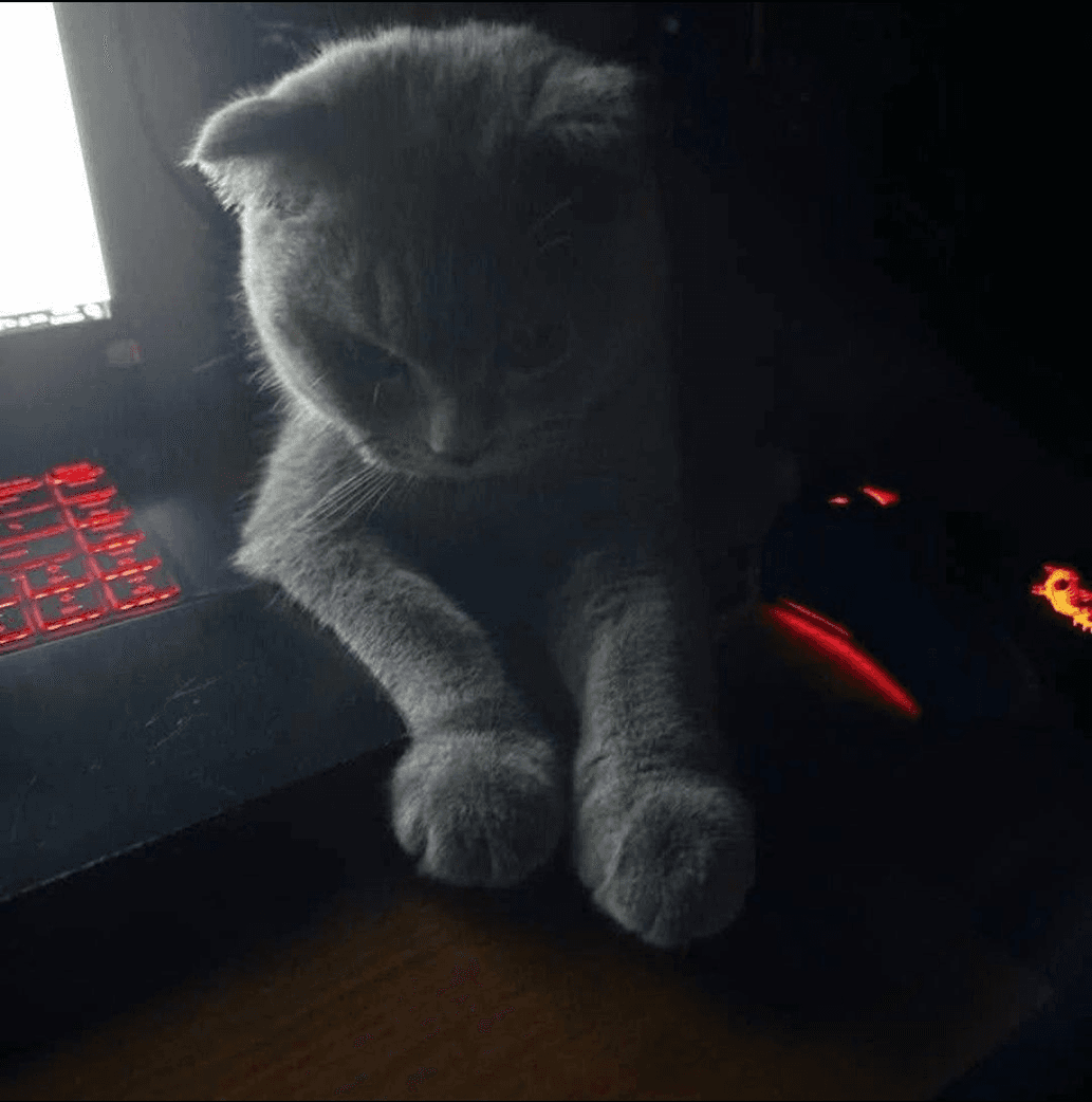 avatar KamaDora