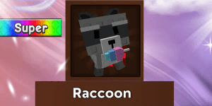 Raccoon