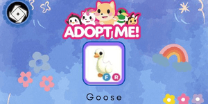 Goose