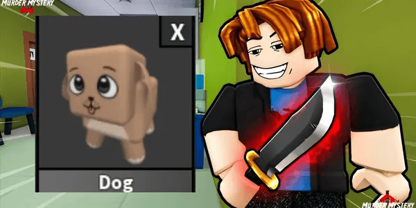 Dog