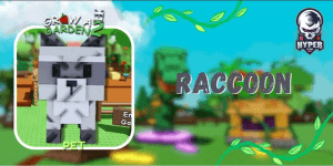 Raccoon