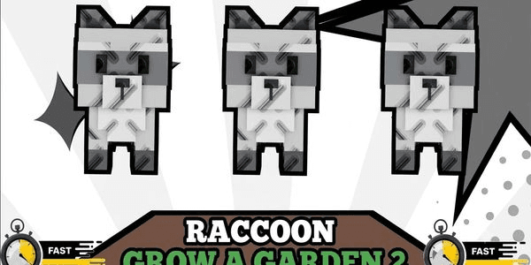 Gambar Product Raccoon