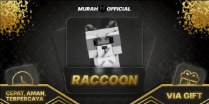 Raccoon