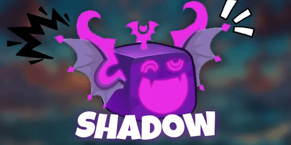 Shadow