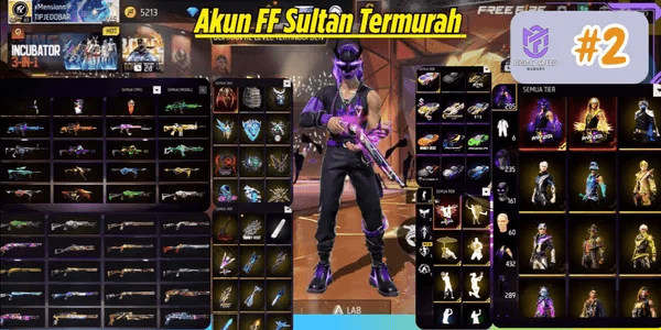 FREE FIRE ACCOUNT AS PER PHOTO #2