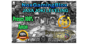 LEVELING BOOST 40-60 (ALL JOBS)