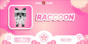 Raccoon