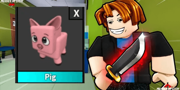 Pig