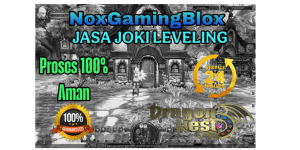 LEVELING SERVICE LVL 1-60 (ALL JOB)