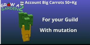 Account Big Carrots 50+Kg