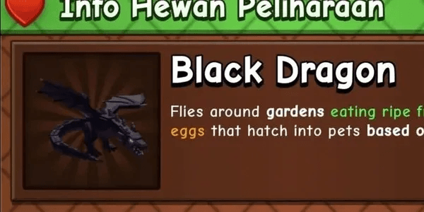Black Dragon