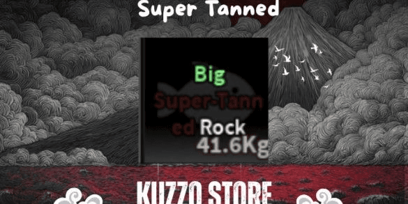 Product Showcase