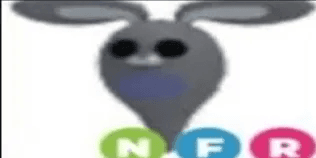 Ghost Bunny NFR