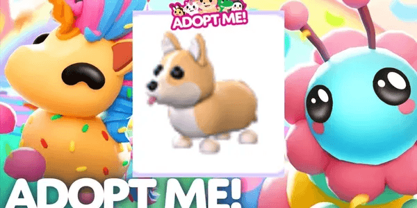 Corgi